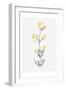 Wildflower Organics VI-Beverly Dyer-Framed Art Print