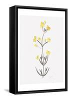 Wildflower Organics VI-Beverly Dyer-Framed Stretched Canvas