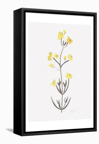 Wildflower Organics VI-Beverly Dyer-Framed Stretched Canvas