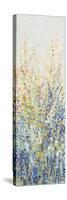 Wildflower Panel I-Tim OToole-Stretched Canvas