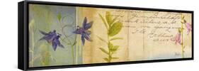 Wildflower Panel I-Patricia Pinto-Framed Stretched Canvas