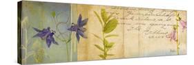 Wildflower Panel I-Patricia Pinto-Stretched Canvas