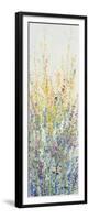 Wildflower Panel II-Tim OToole-Framed Premium Giclee Print