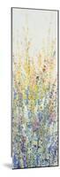 Wildflower Panel II-Tim OToole-Mounted Premium Giclee Print