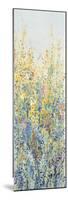 Wildflower Panel III-Tim OToole-Mounted Premium Giclee Print