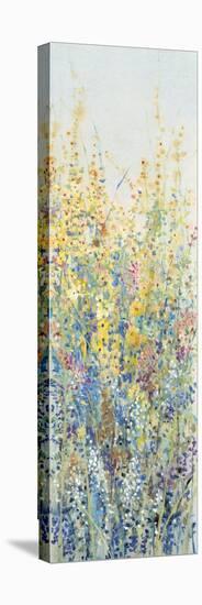 Wildflower Panel III-Tim OToole-Stretched Canvas