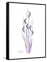 Wildflower Purp-Albert Koetsier-Framed Stretched Canvas