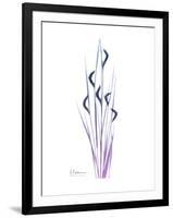 Wildflower Purp-Albert Koetsier-Framed Premium Giclee Print