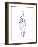 Wildflower Purp-Albert Koetsier-Framed Premium Giclee Print