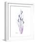 Wildflower Purp-Albert Koetsier-Framed Premium Giclee Print