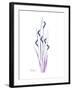 Wildflower Purp-Albert Koetsier-Framed Premium Giclee Print