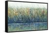 Wildflower Reflection I-Tim OToole-Framed Stretched Canvas