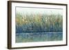 Wildflower Reflection I-Tim OToole-Framed Art Print