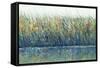 Wildflower Reflection I-Tim OToole-Framed Stretched Canvas