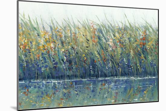 Wildflower Reflection I-Tim OToole-Mounted Art Print