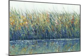 Wildflower Reflection I-Tim OToole-Mounted Art Print