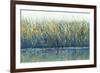 Wildflower Reflection I-Tim OToole-Framed Art Print