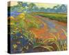 Wildflower Road-Karen Mathison Schmidt-Stretched Canvas