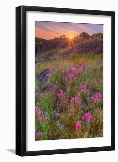 Wildflower Sunset at Table Mountain-Vincent James-Framed Photographic Print