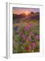 Wildflower Sunset at Table Mountain-Vincent James-Framed Photographic Print