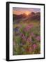 Wildflower Sunset at Table Mountain-Vincent James-Framed Photographic Print