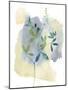 Wildflower Symphony-Tania Bello-Mounted Giclee Print