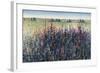 Wildflower Trail-Tim O'toole-Framed Giclee Print