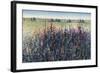 Wildflower Trail-Tim O'toole-Framed Giclee Print