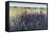 Wildflower Trail-Tim O'toole-Framed Stretched Canvas