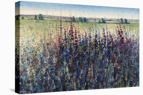 Wildflower Trail-Tim O'toole-Stretched Canvas