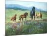 Wildflower Trail-Claire Goldrick-Mounted Art Print