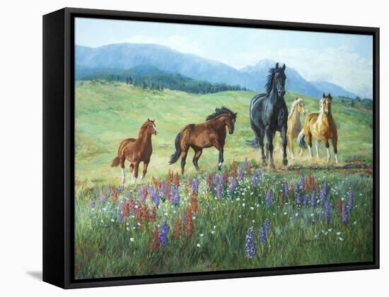 Wildflower Trail-Claire Goldrick-Framed Stretched Canvas