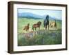 Wildflower Trail-Claire Goldrick-Framed Art Print