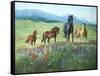 Wildflower Trail-Claire Goldrick-Framed Stretched Canvas