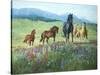 Wildflower Trail-Claire Goldrick-Stretched Canvas