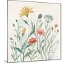 Wildflower Vibes III-Janelle Penner-Mounted Art Print