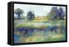 Wildflower View-K. Nari-Framed Stretched Canvas