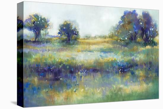 Wildflower View-K. Nari-Stretched Canvas