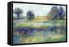 Wildflower View-K. Nari-Framed Stretched Canvas