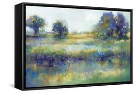 Wildflower View-K. Nari-Framed Stretched Canvas