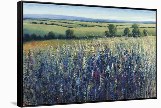 Wildflower Vista-Tim O'toole-Framed Stretched Canvas