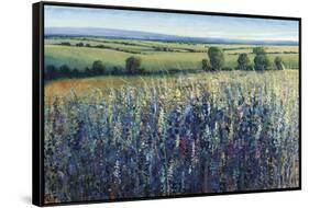 Wildflower Vista-Tim O'toole-Framed Stretched Canvas