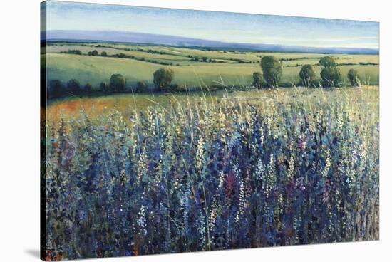 Wildflower Vista-Tim O'toole-Stretched Canvas