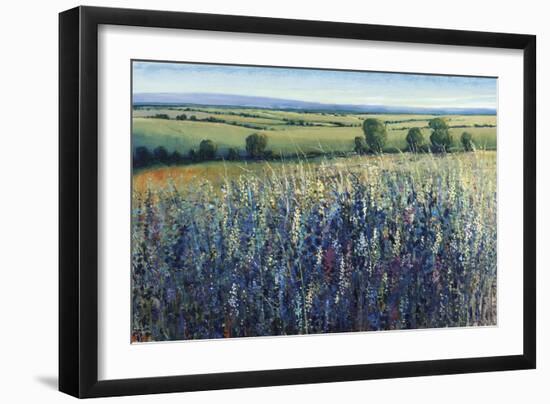 Wildflower Vista-Tim O'toole-Framed Giclee Print