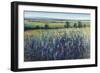 Wildflower Vista-Tim O'toole-Framed Giclee Print