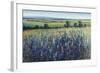 Wildflower Vista-Tim O'toole-Framed Giclee Print