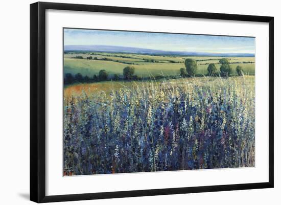 Wildflower Vista-Tim O'toole-Framed Giclee Print