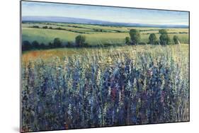 Wildflower Vista-Tim O'toole-Mounted Giclee Print