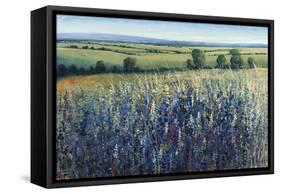 Wildflower Vista-Tim O'toole-Framed Stretched Canvas