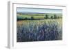 Wildflower Vista-Tim O'toole-Framed Premium Giclee Print